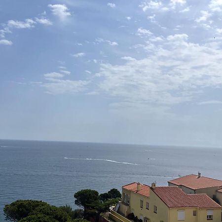 T3 Avec Loggia, Parking Couvert, Proche Plage - Fr-1-309-62 Banyuls-sur-Mer Exterior foto